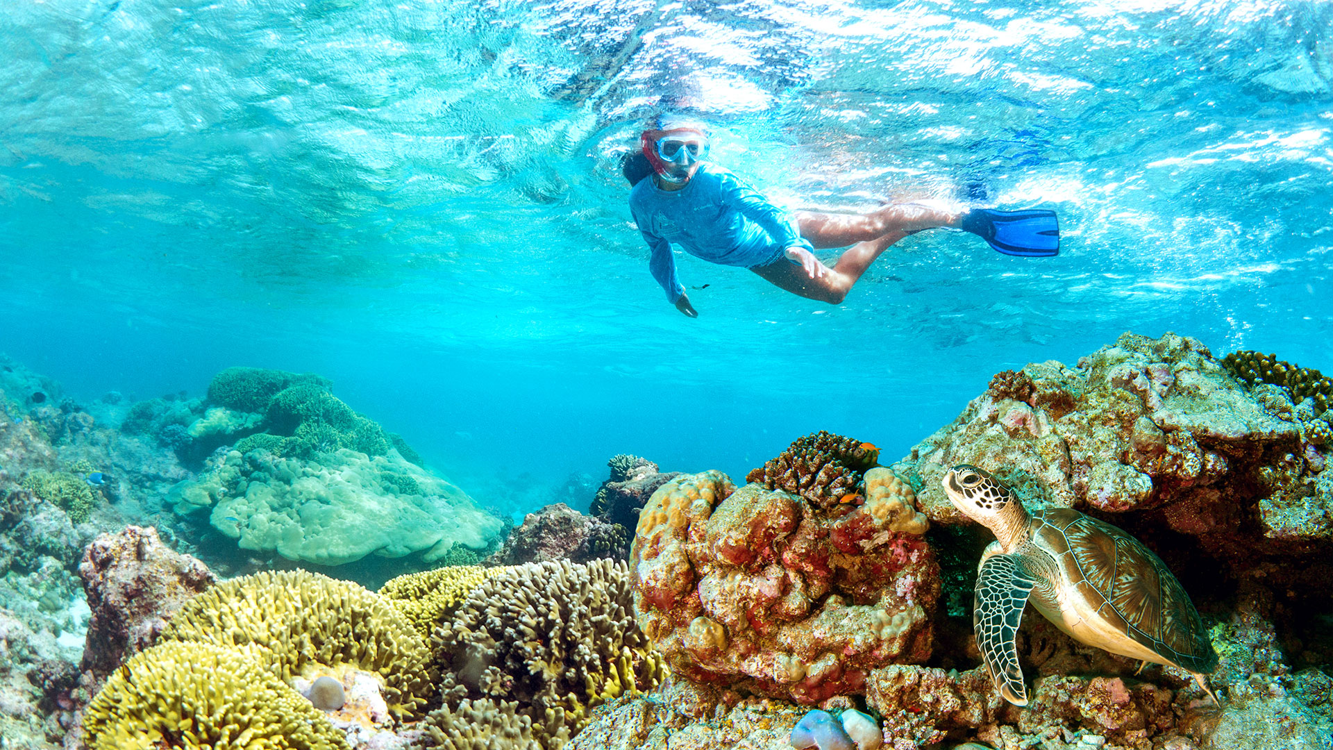 SNORKELING