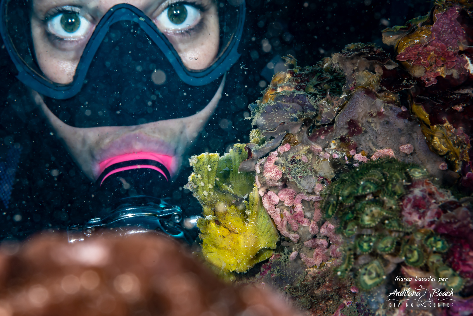 Tanikely 20-7-19 (Ghostpipe) (12) | Andilana Beach Diving Center - Nosy